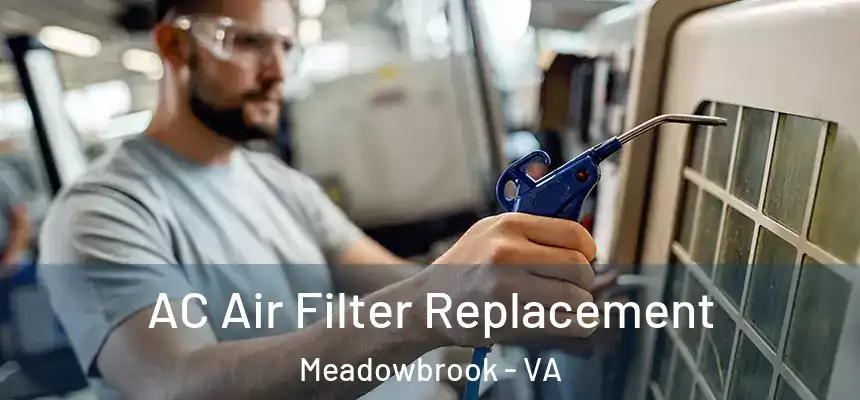 AC Air Filter Replacement Meadowbrook - VA