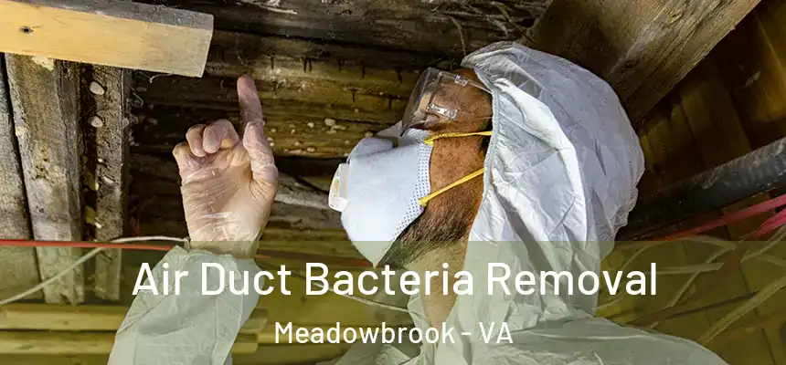  Air Duct Bacteria Removal Meadowbrook - VA