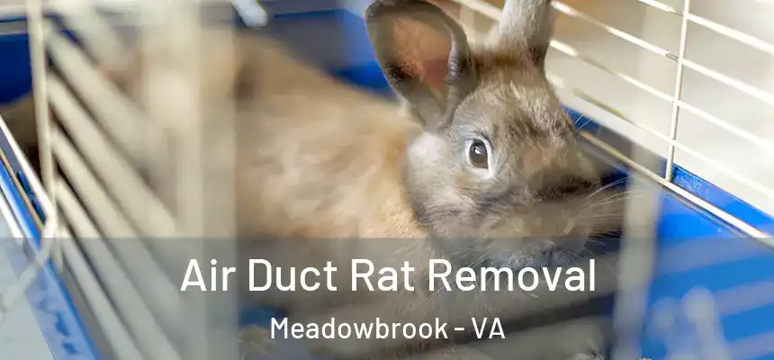 Air Duct Rat Removal Meadowbrook - VA