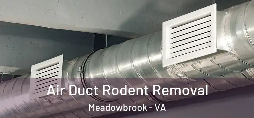 Air Duct Rodent Removal Meadowbrook - VA