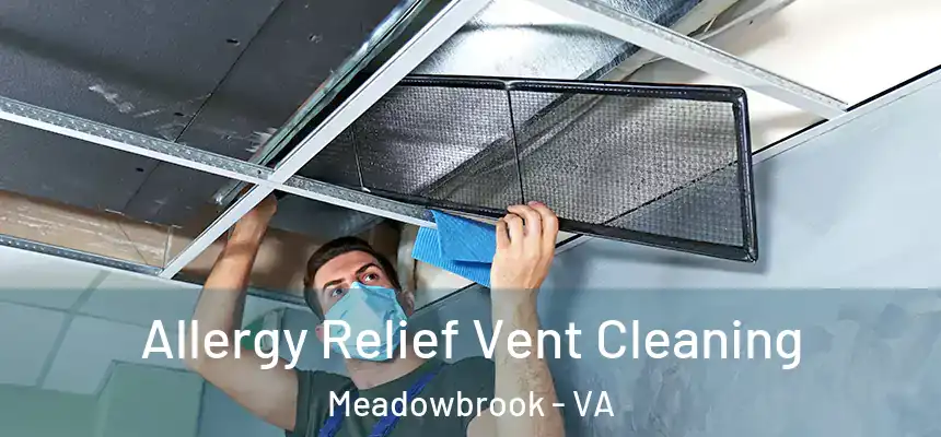 Allergy Relief Vent Cleaning Meadowbrook - VA