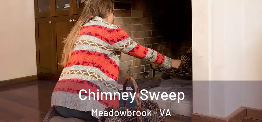 Chimney Sweep Meadowbrook - VA