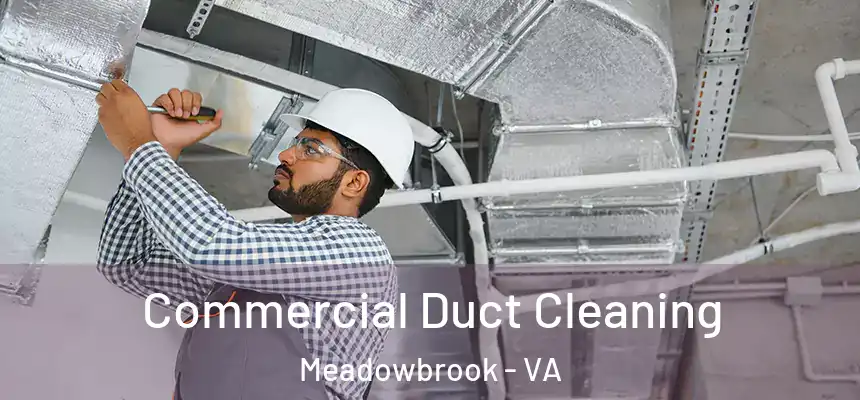 Commercial Duct Cleaning Meadowbrook - VA