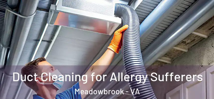 Duct Cleaning for Allergy Sufferers Meadowbrook - VA