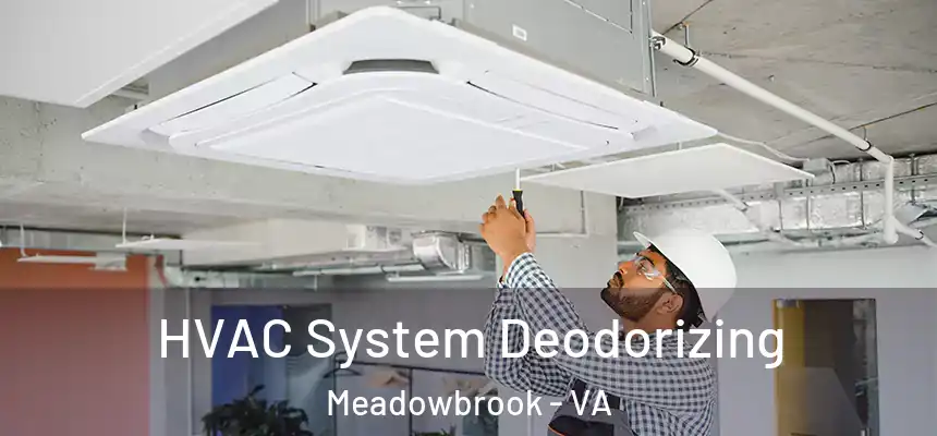 HVAC System Deodorizing Meadowbrook - VA