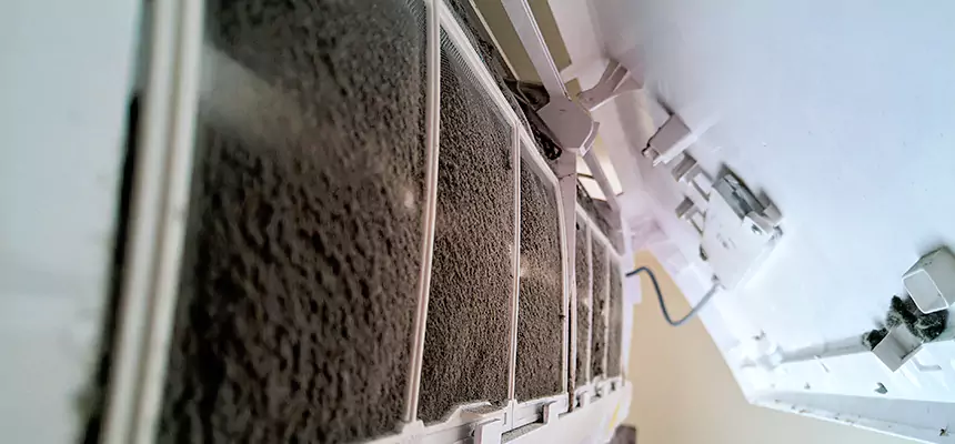 Preventive Air Duct Bacteria Removal in Meadowbrook