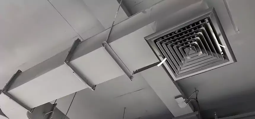 Restorative Allergy Relief Vent Cleaning – Coil, Blower & Housing Detail in Meadowbrook