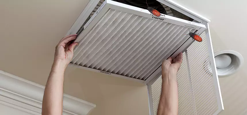 Our Insect Removal from Air Ducts Services in Meadowbrook, VA