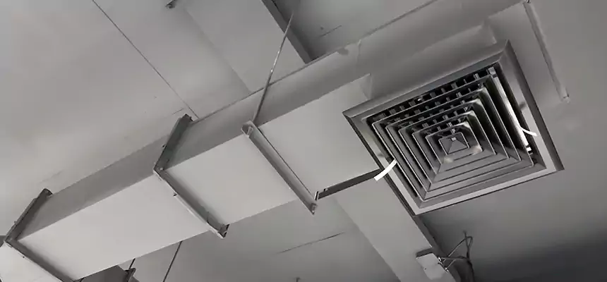 Our Rodent Droppings In Vents Services in Meadowbrook, VA