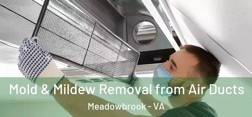  Mold & Mildew Removal from Air Ducts Meadowbrook - VA