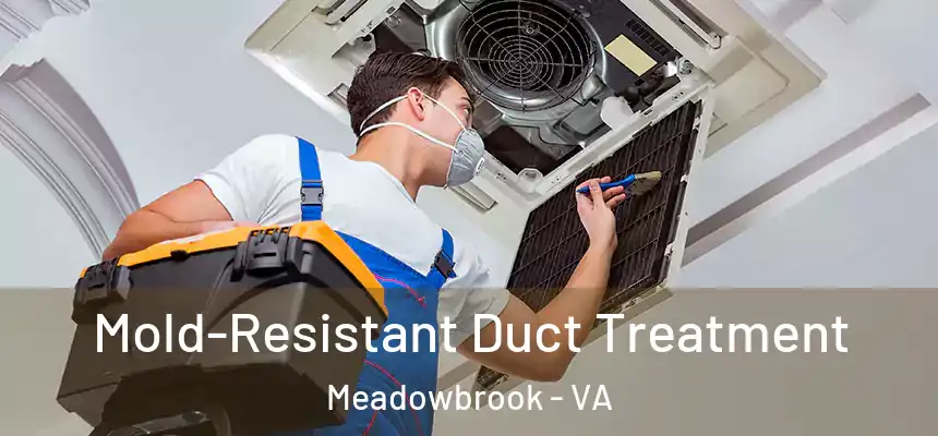 Mold-Resistant Duct Treatment Meadowbrook - VA