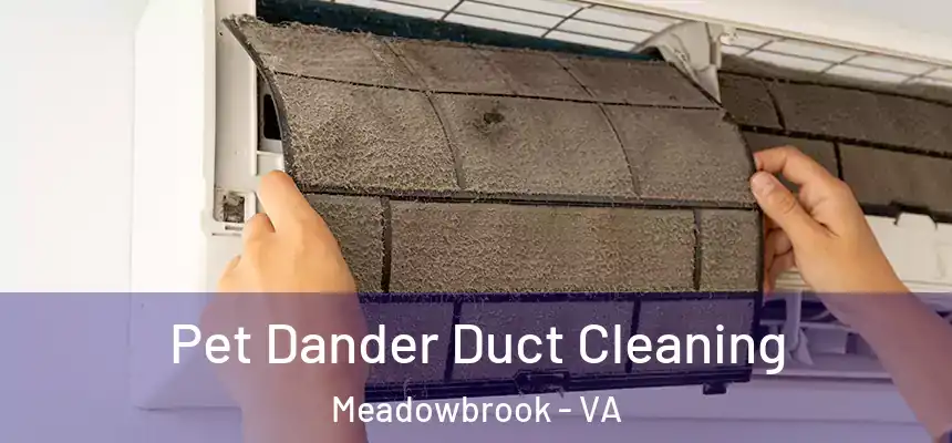  Pet Dander Duct Cleaning Meadowbrook - VA