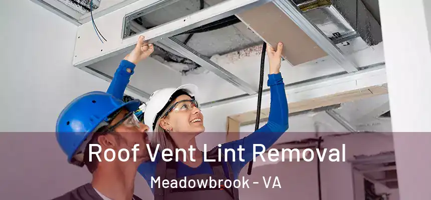  Roof Vent Lint Removal Meadowbrook - VA