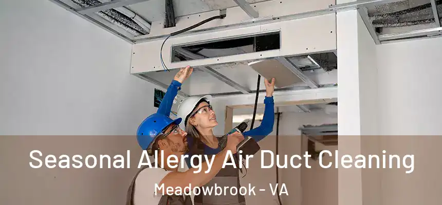  Seasonal Allergy Air Duct Cleaning Meadowbrook - VA