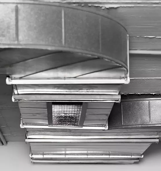 Professional Air Duct Pest Removal in Meadowbrook, VA