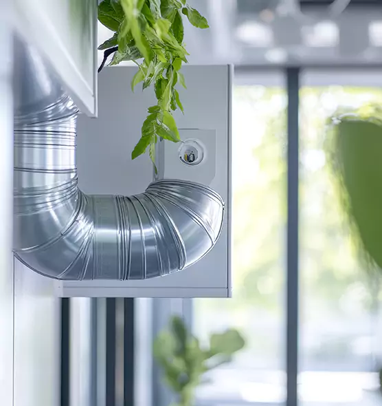 Professional Eco-Safe Dryer Vent Cleaning in Meadowbrook, VA