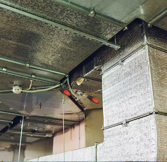 Why Homeowners & Businesses Trust Us in Meadowbrook, VA?