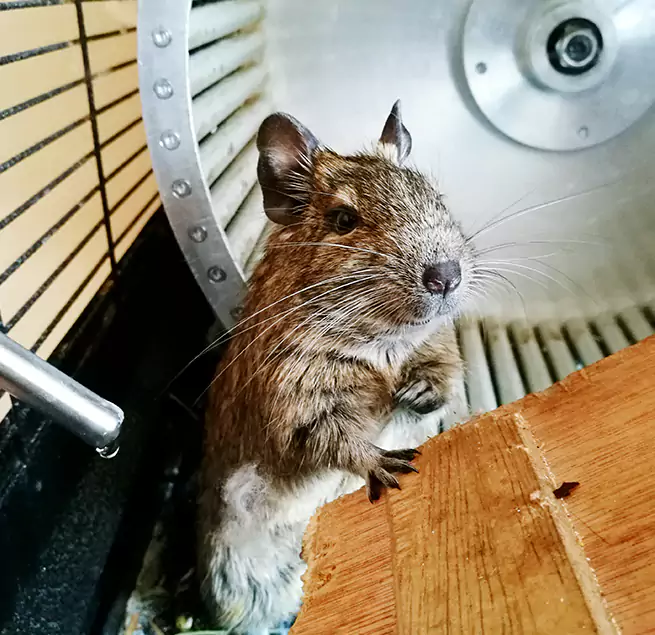 Why Homeowners & Businesses Trust Us Meadowbrook, VA