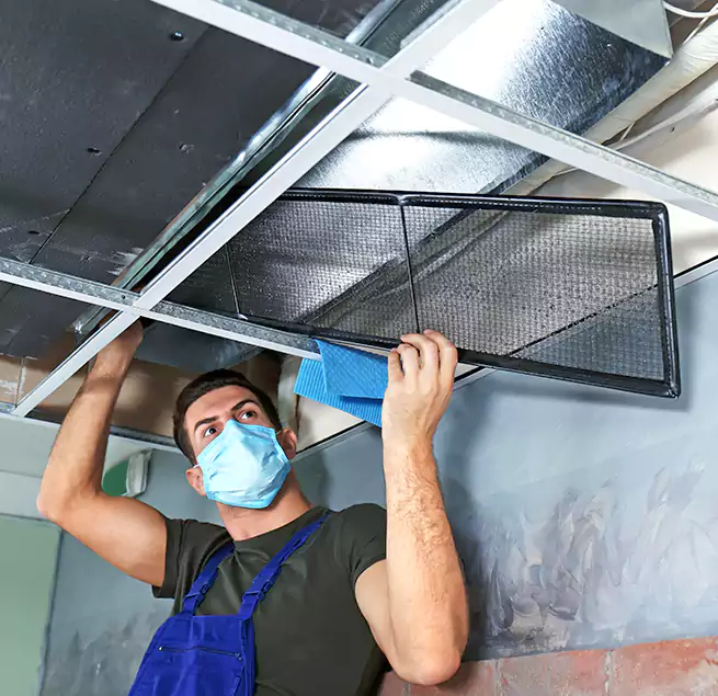 Why Homeowners Businesses Trust Us in Meadowbrook, VA