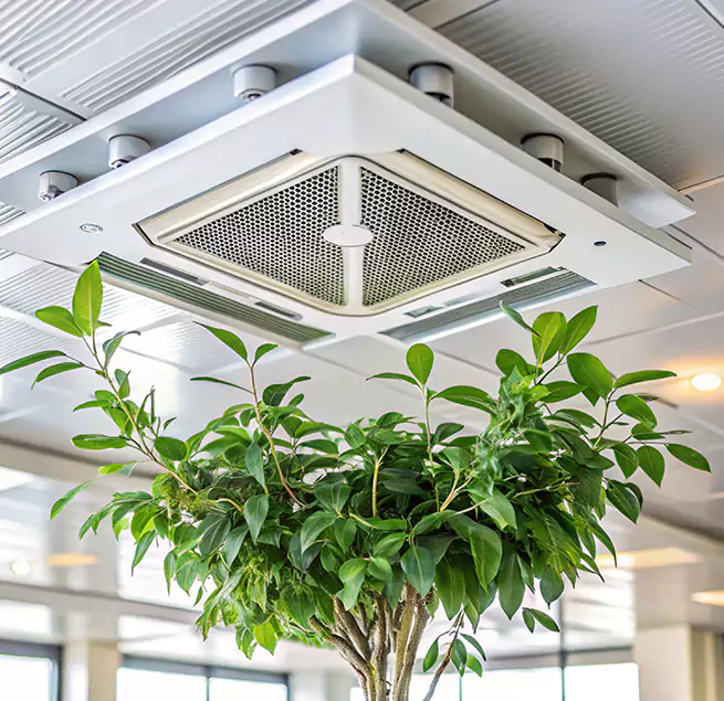 Why Homeowners & Businesses Trust Us in Meadowbrook, VA?